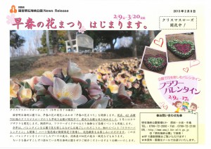 24記者発表◇早春の花まつりはじまります130208-1scan