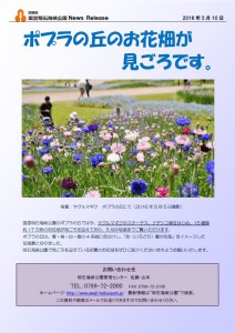 09記者発表◇ポプラのの丘のお花畑が見ごろ