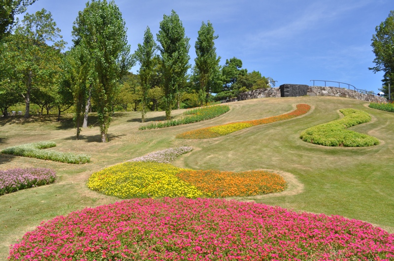 見ごろのお花情報を更新しました 18 8 23 淡路島 国営明石海峡公園