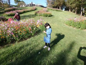 イベント一覧 淡路島 国営明石海峡公園