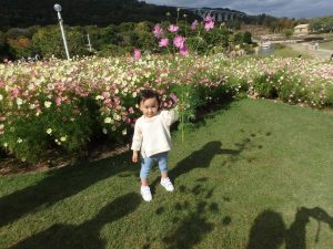 イベント一覧 淡路島 国営明石海峡公園